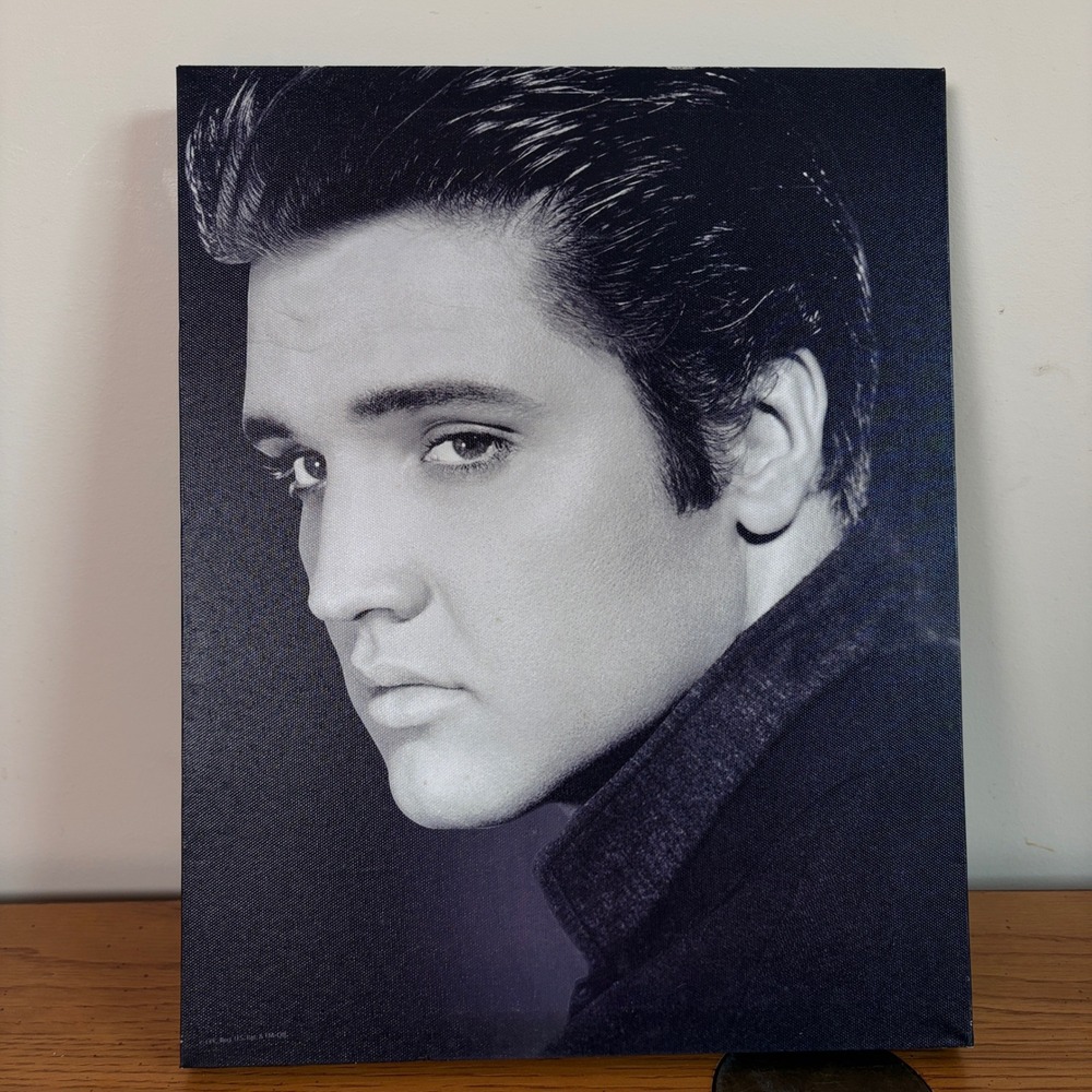 Elvis Presley Canvas Wall Art Black and White Portrait Music Decor